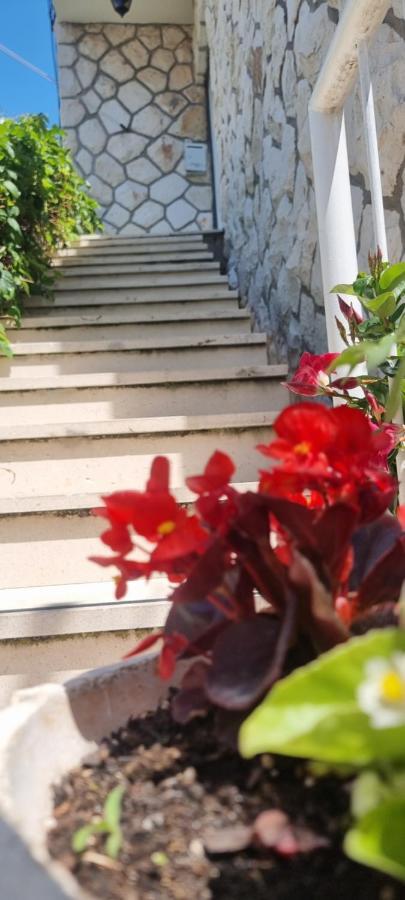 Apartment Lea Bayview Dubrovnik Ngoại thất bức ảnh