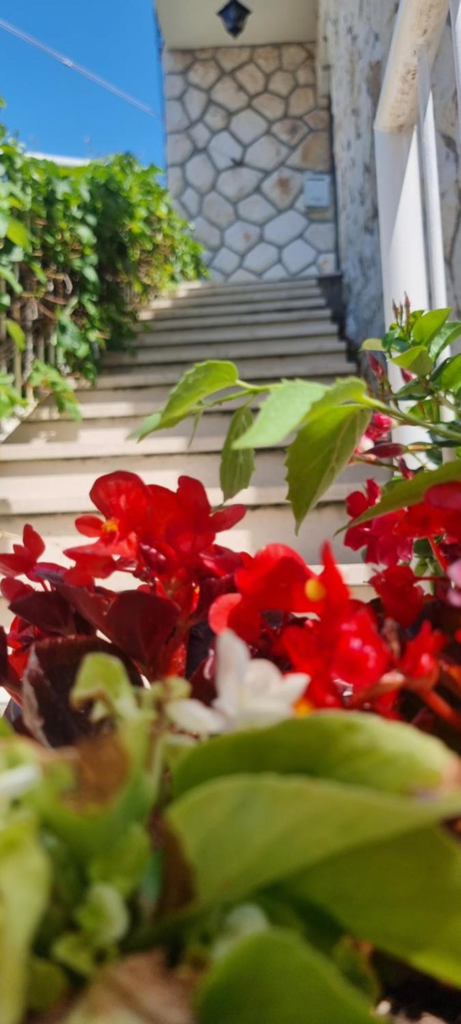Apartment Lea Bayview Dubrovnik Ngoại thất bức ảnh