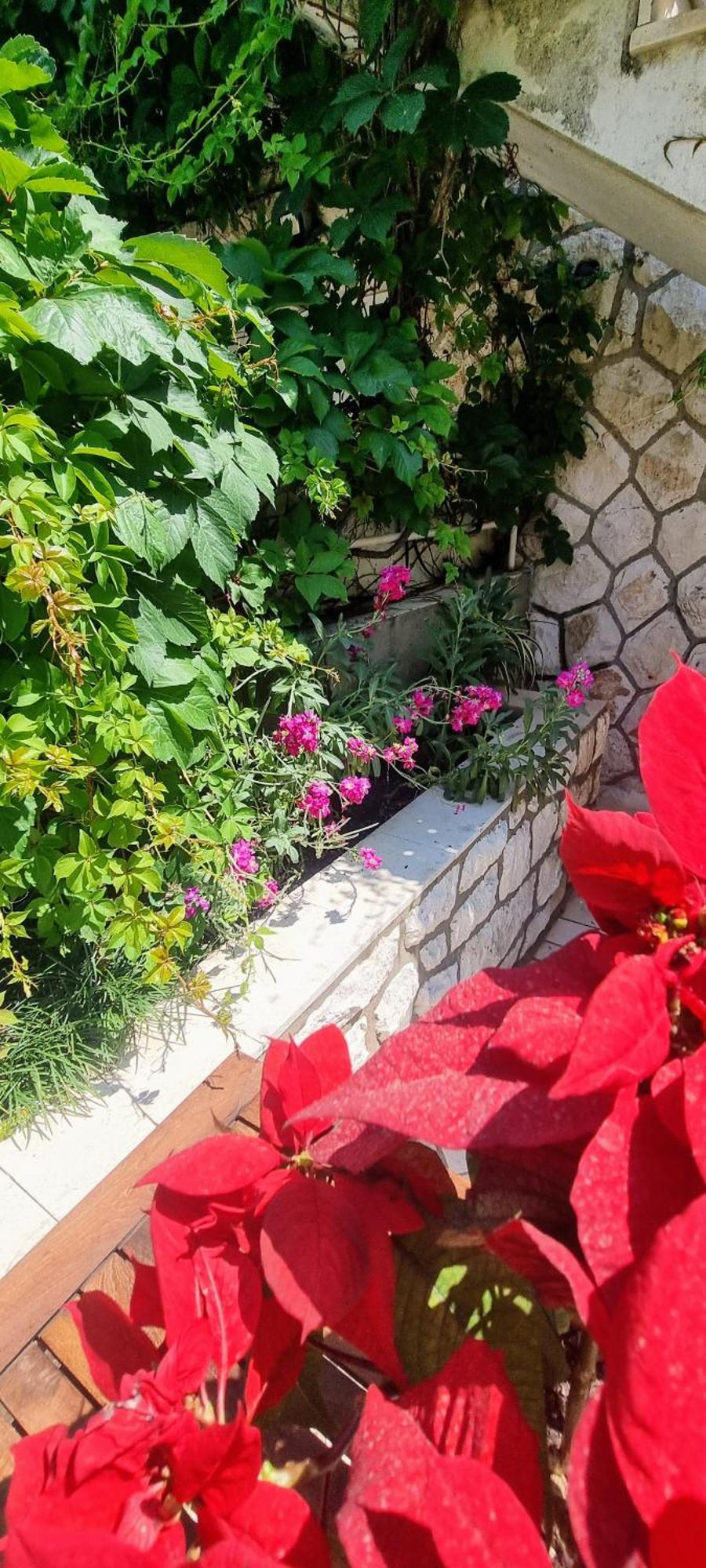 Apartment Lea Bayview Dubrovnik Ngoại thất bức ảnh